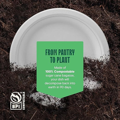 100% Compostable Paper Plates 10 Inch Bulk [500 Count] Heavy-Duty Dinner Plates - Natural White Color Unbleached Bagasse - Eco-Friendly Disposable Biodegradable Sugarcane Plates - [Case 4/125 Pack]