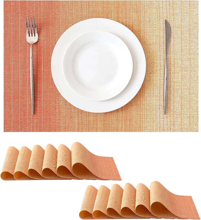 Leetaltree Gradient Burnt Orange Woven Placemats Set of 12 by Leetaltree-ArtatEveryTable