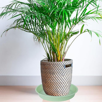 2 Pack of 8 inch Plant Saucer Clear, Heavy Duty Plastic Plant Water Tray 8 inch - Image 7