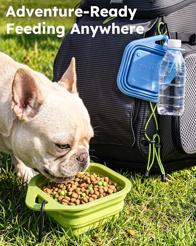 Pecute 2 Pack Foldable Dog Bowls - Image 2