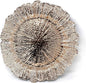 allgala 13-Inch 6-Pack Heavy Quality Round Charger Plates-Reed Rose Gold-HD80333