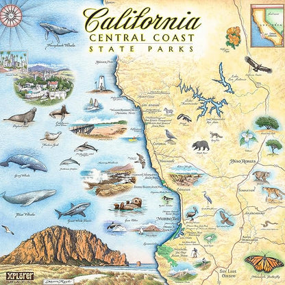 California Central Coast Ceramic Coaster with Cork Base - Set of 4